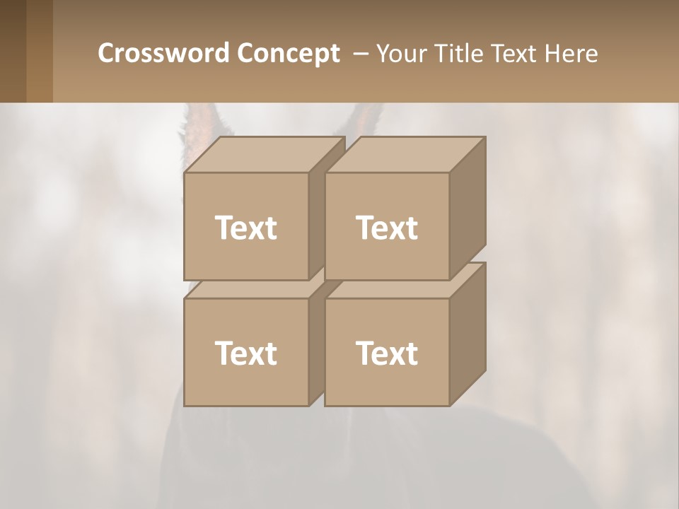 Sale Build Buy PowerPoint Template