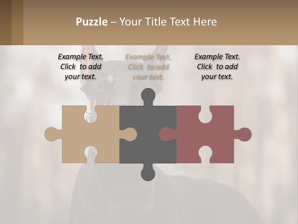 Sale Build Buy PowerPoint Template