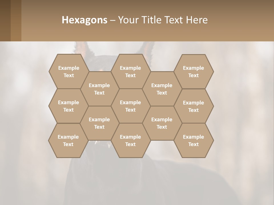 Sale Build Buy PowerPoint Template