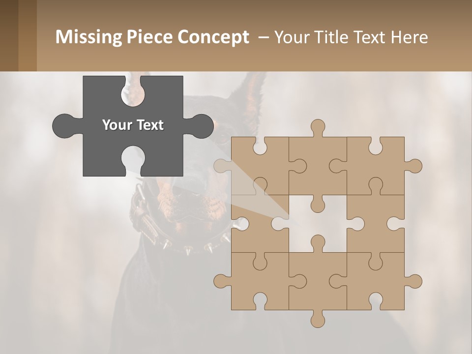 Sale Build Buy PowerPoint Template