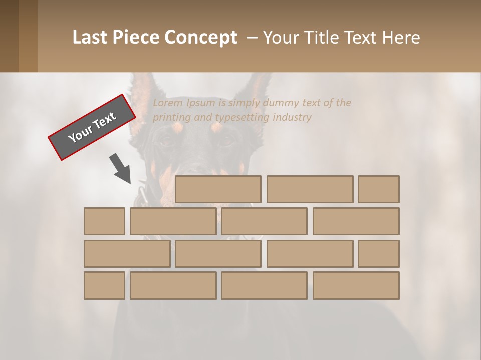 Sale Build Buy PowerPoint Template