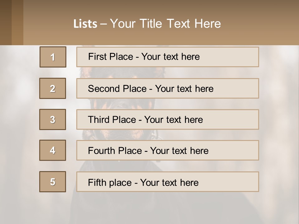 Sale Build Buy PowerPoint Template