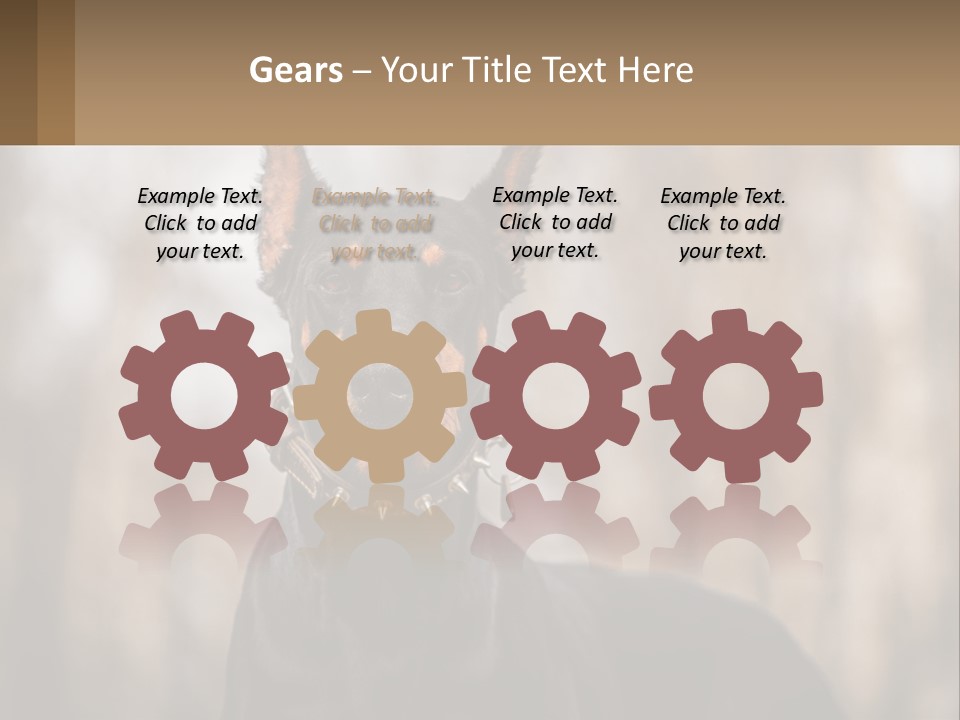 Sale Build Buy PowerPoint Template