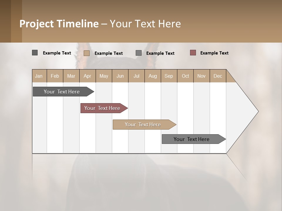 Sale Build Buy PowerPoint Template