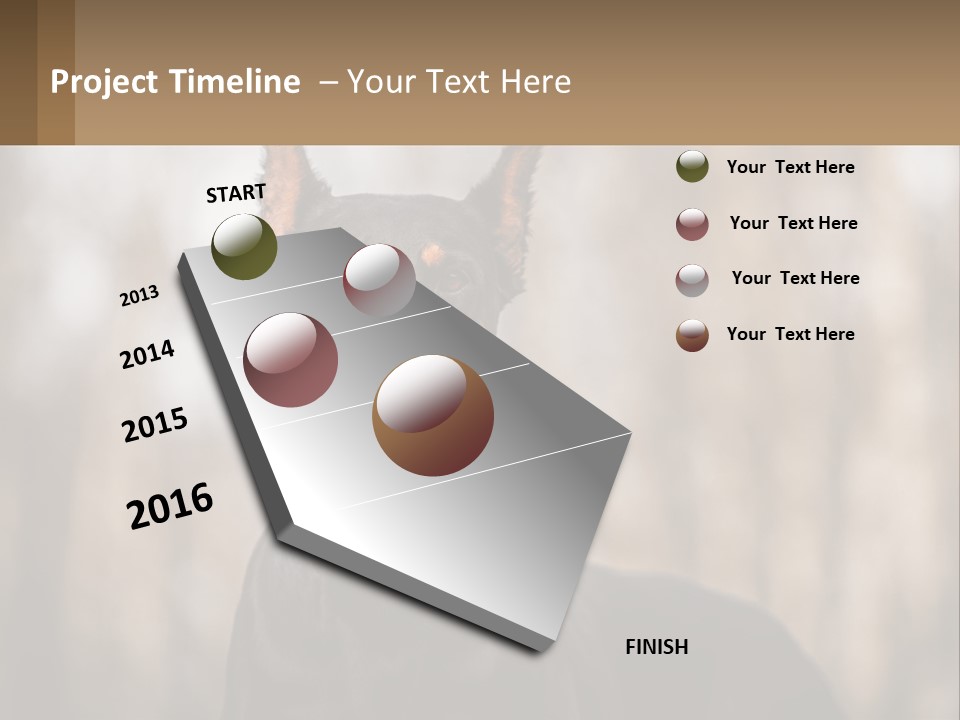 Sale Build Buy PowerPoint Template
