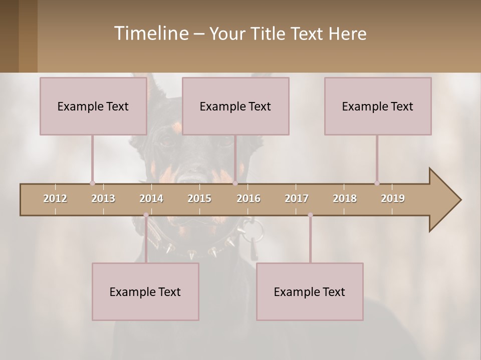 Sale Build Buy PowerPoint Template