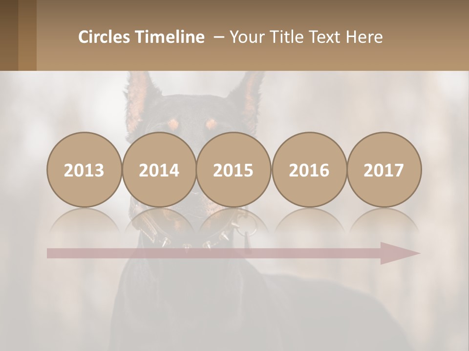 Sale Build Buy PowerPoint Template