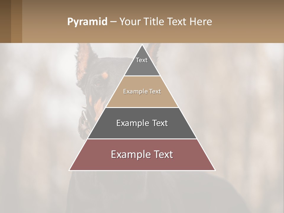 Sale Build Buy PowerPoint Template