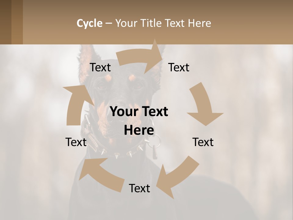 Sale Build Buy PowerPoint Template