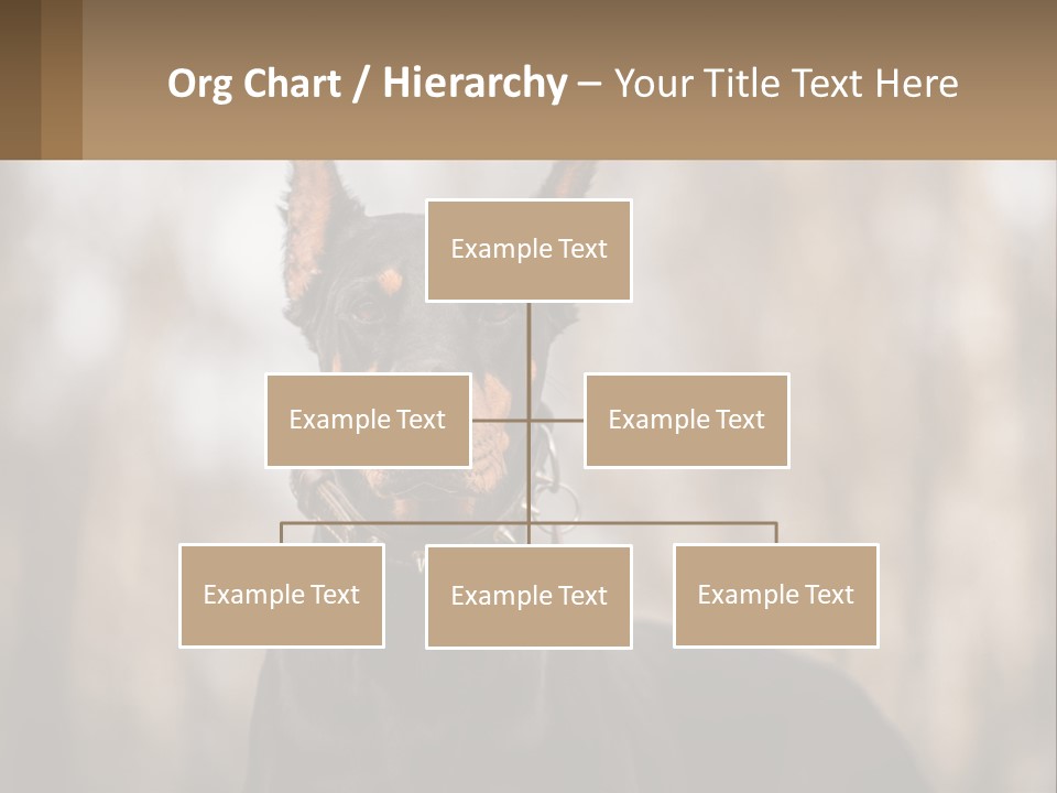 Sale Build Buy PowerPoint Template