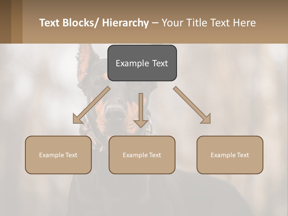 Sale Build Buy PowerPoint Template