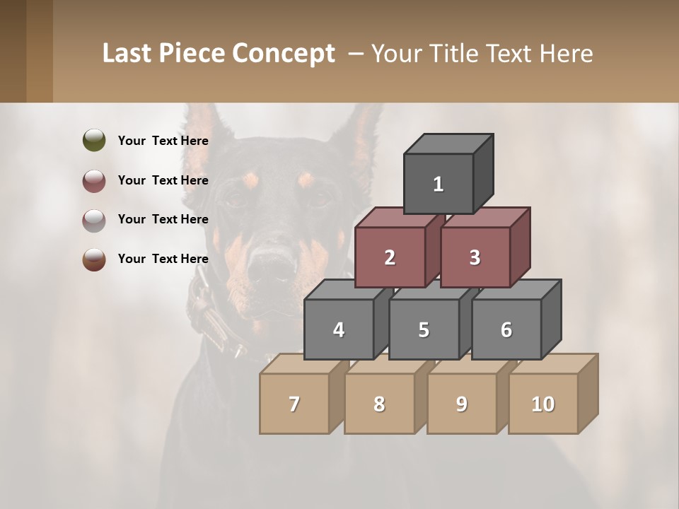 Sale Build Buy PowerPoint Template