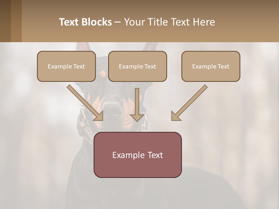 Sale Build Buy PowerPoint Template