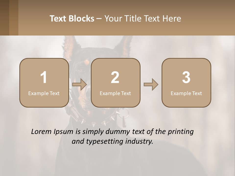 Sale Build Buy PowerPoint Template