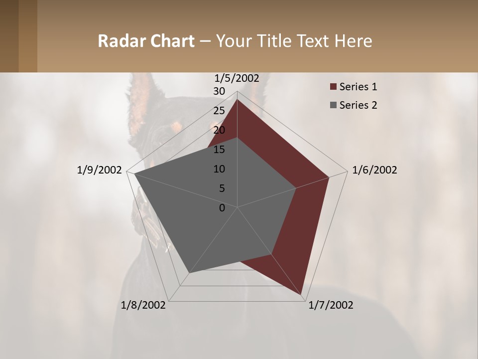 Sale Build Buy PowerPoint Template