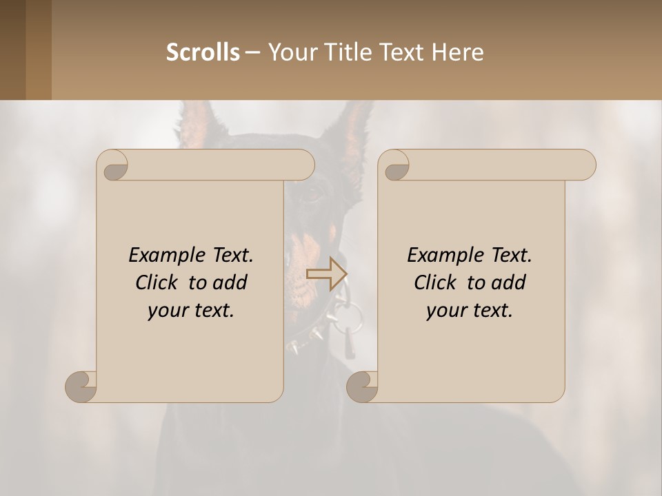 Sale Build Buy PowerPoint Template