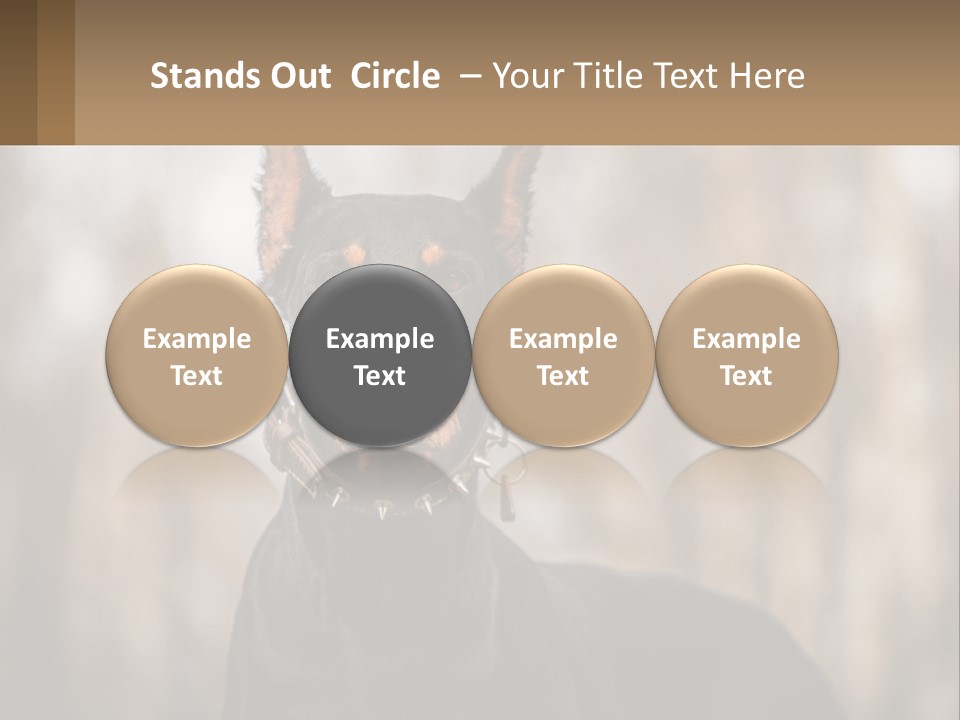 Sale Build Buy PowerPoint Template