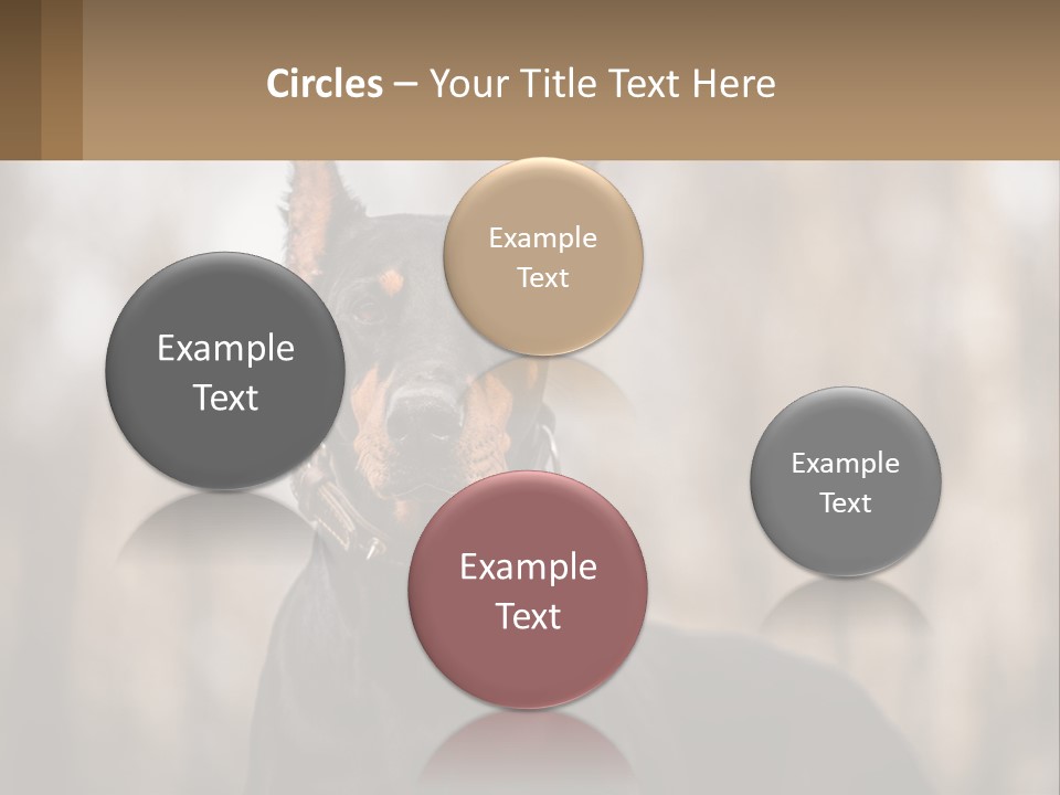 Sale Build Buy PowerPoint Template