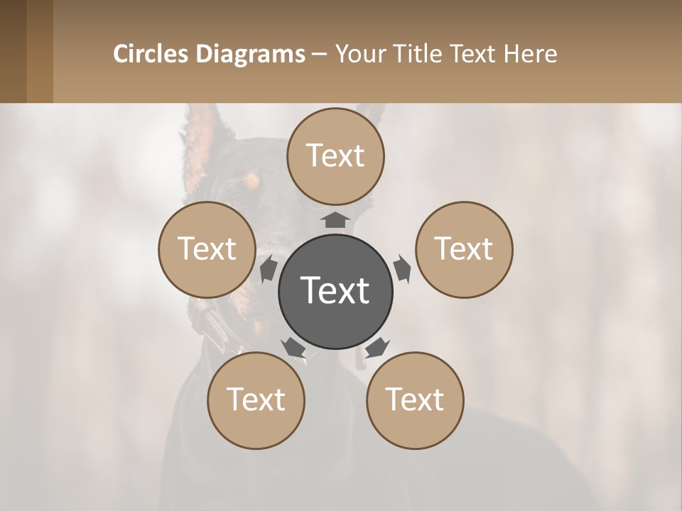 Sale Build Buy PowerPoint Template