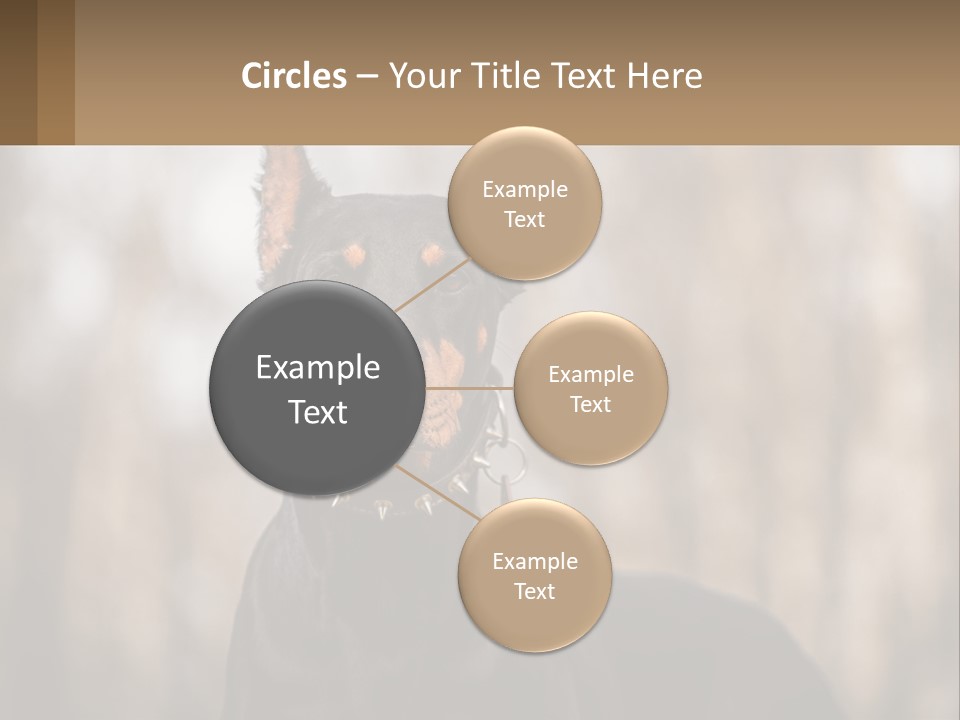 Sale Build Buy PowerPoint Template