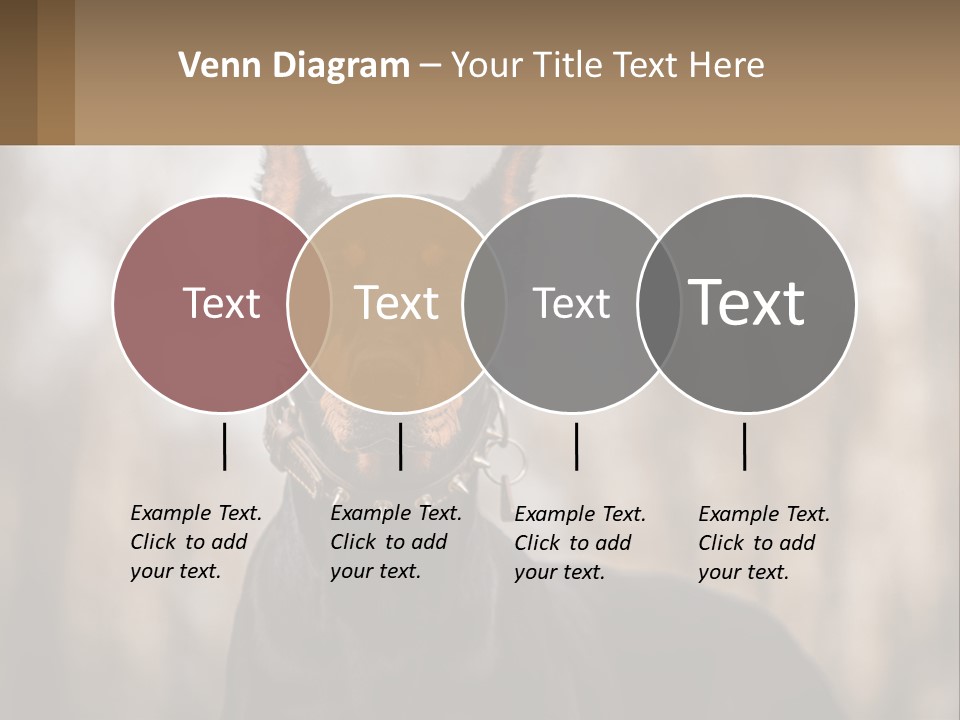 Sale Build Buy PowerPoint Template