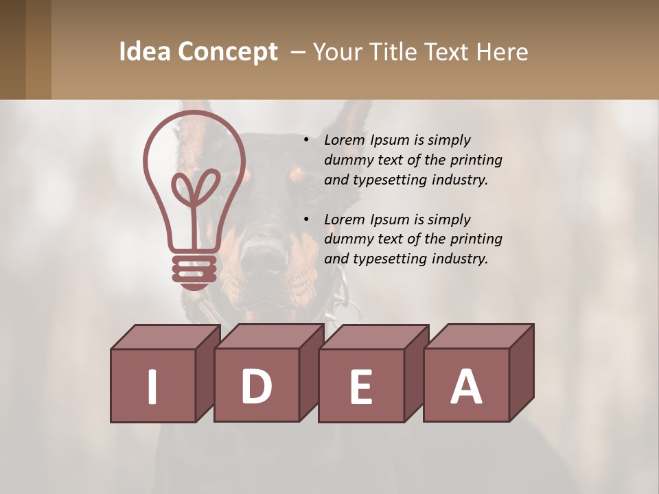 Sale Build Buy PowerPoint Template