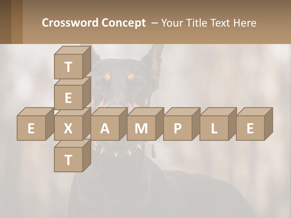 Sale Build Buy PowerPoint Template