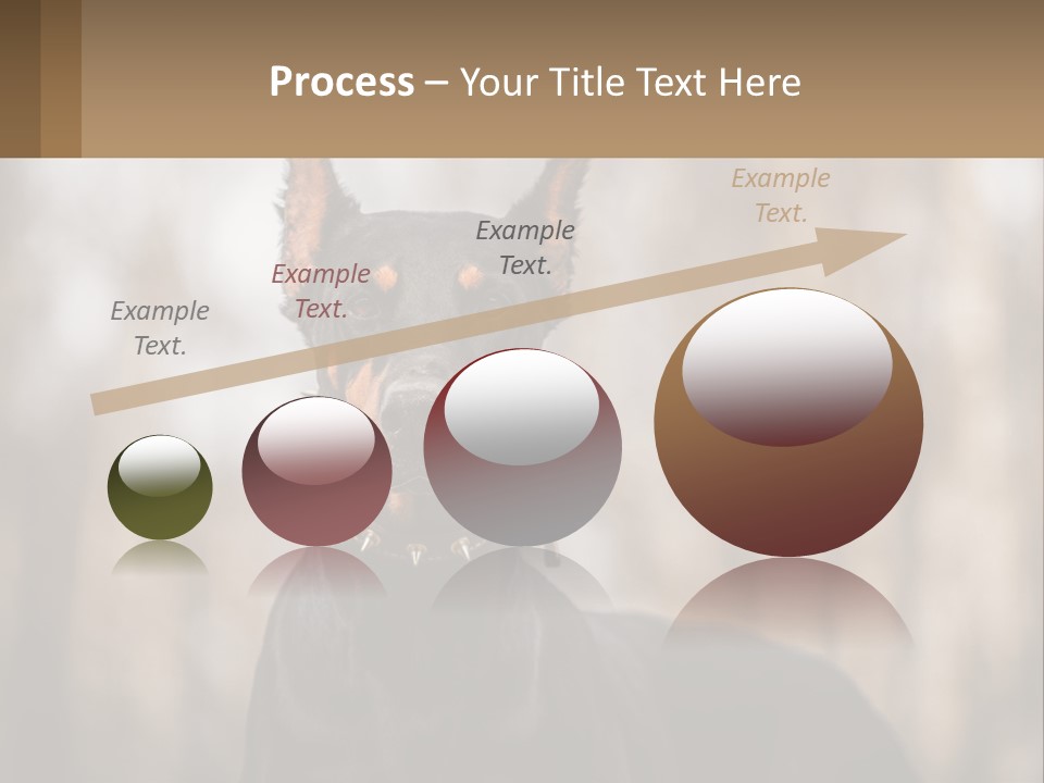Sale Build Buy PowerPoint Template
