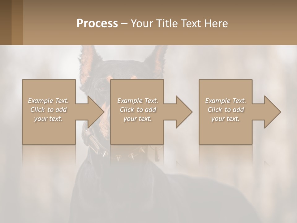 Sale Build Buy PowerPoint Template