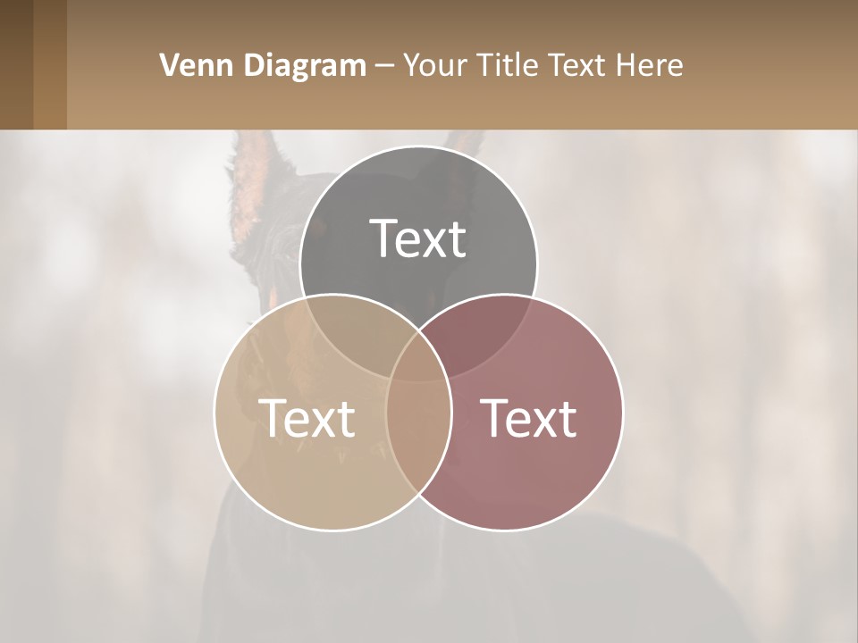 Sale Build Buy PowerPoint Template