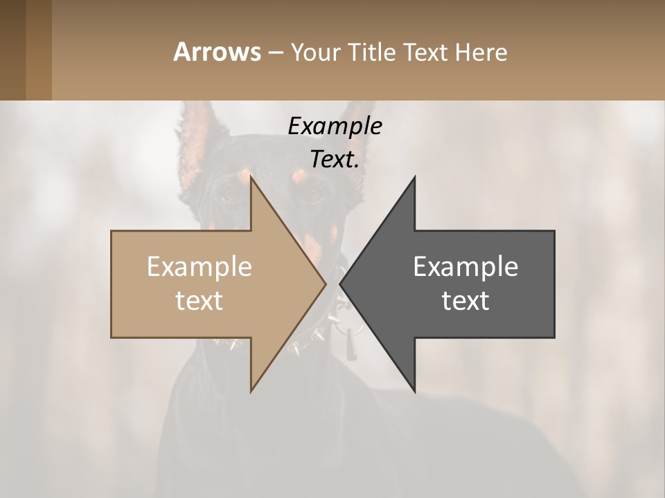 Sale Build Buy PowerPoint Template