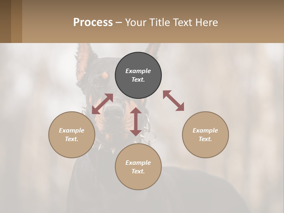 Sale Build Buy PowerPoint Template