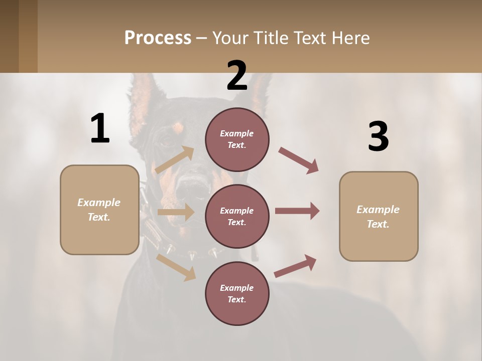 Sale Build Buy PowerPoint Template