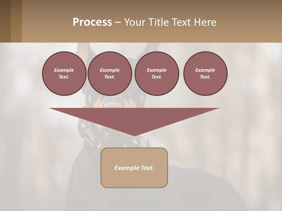 Sale Build Buy PowerPoint Template