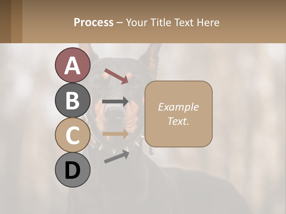 Sale Build Buy PowerPoint Template