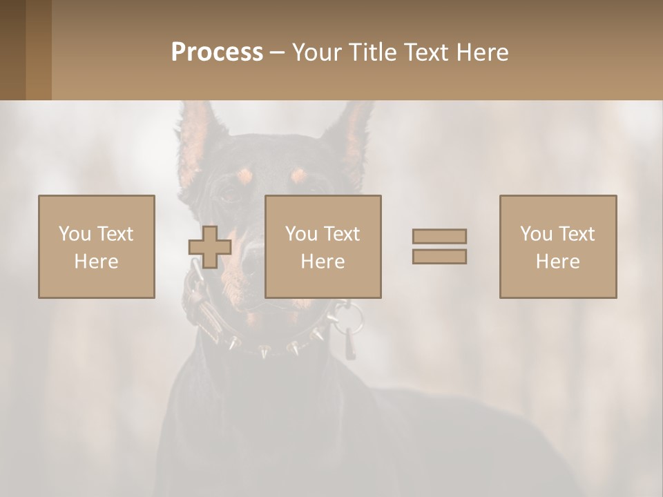 Sale Build Buy PowerPoint Template