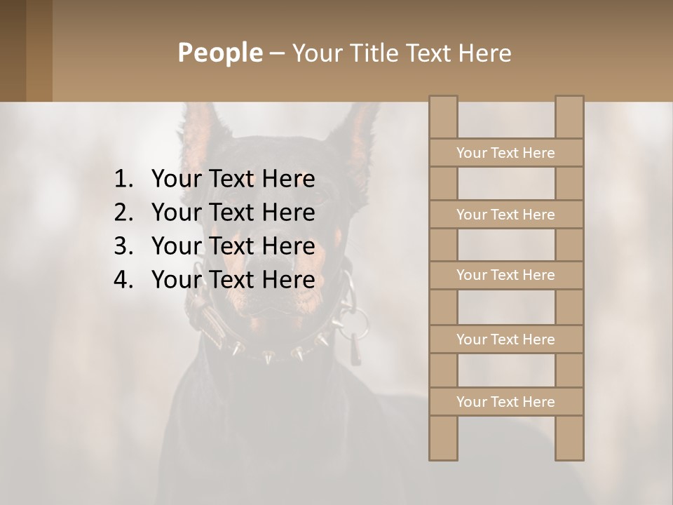 Sale Build Buy PowerPoint Template