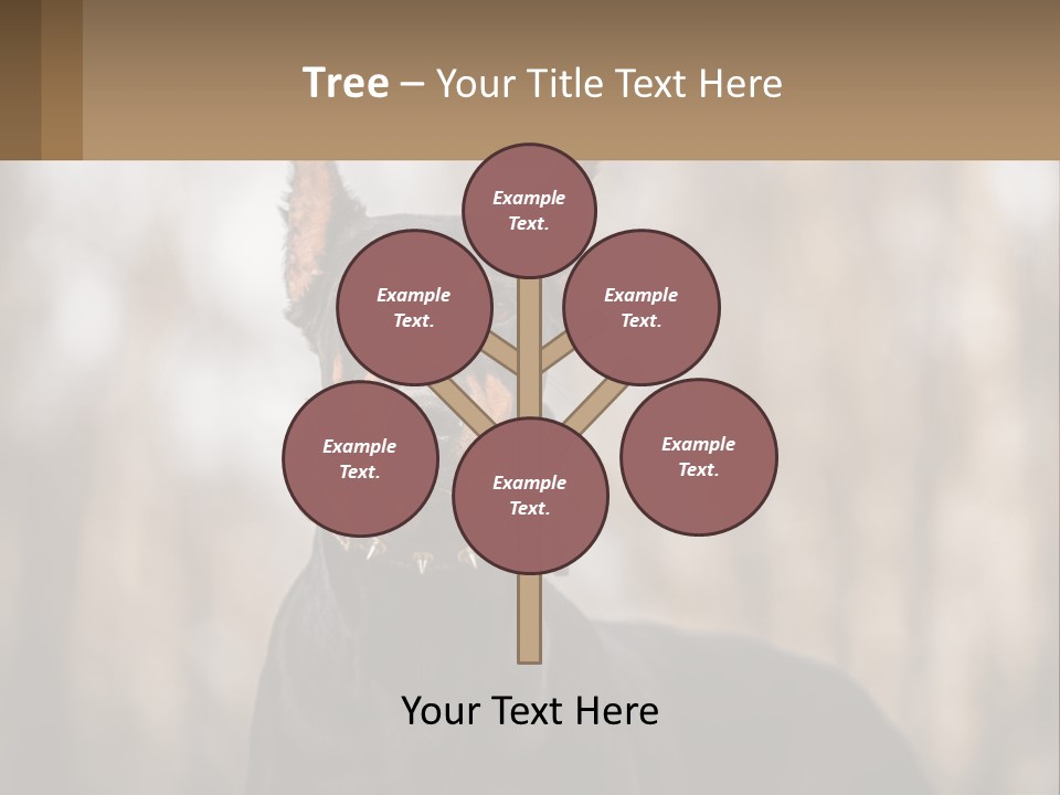 Sale Build Buy PowerPoint Template