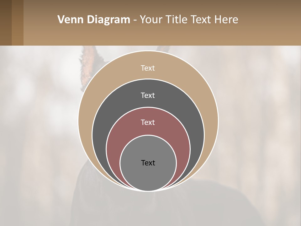 Sale Build Buy PowerPoint Template