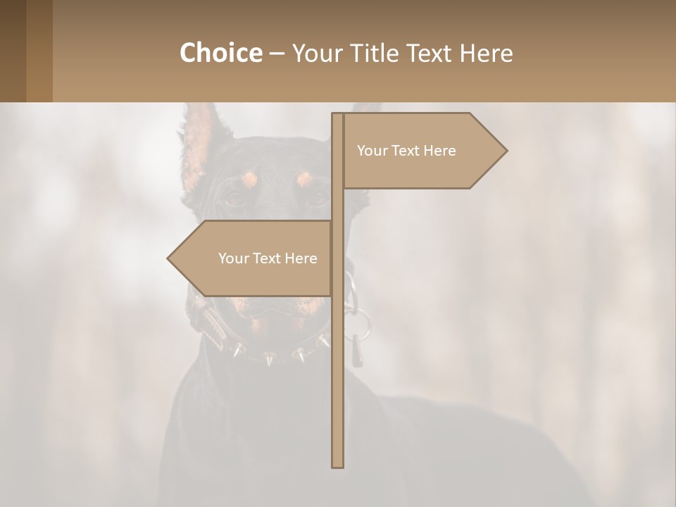 Sale Build Buy PowerPoint Template