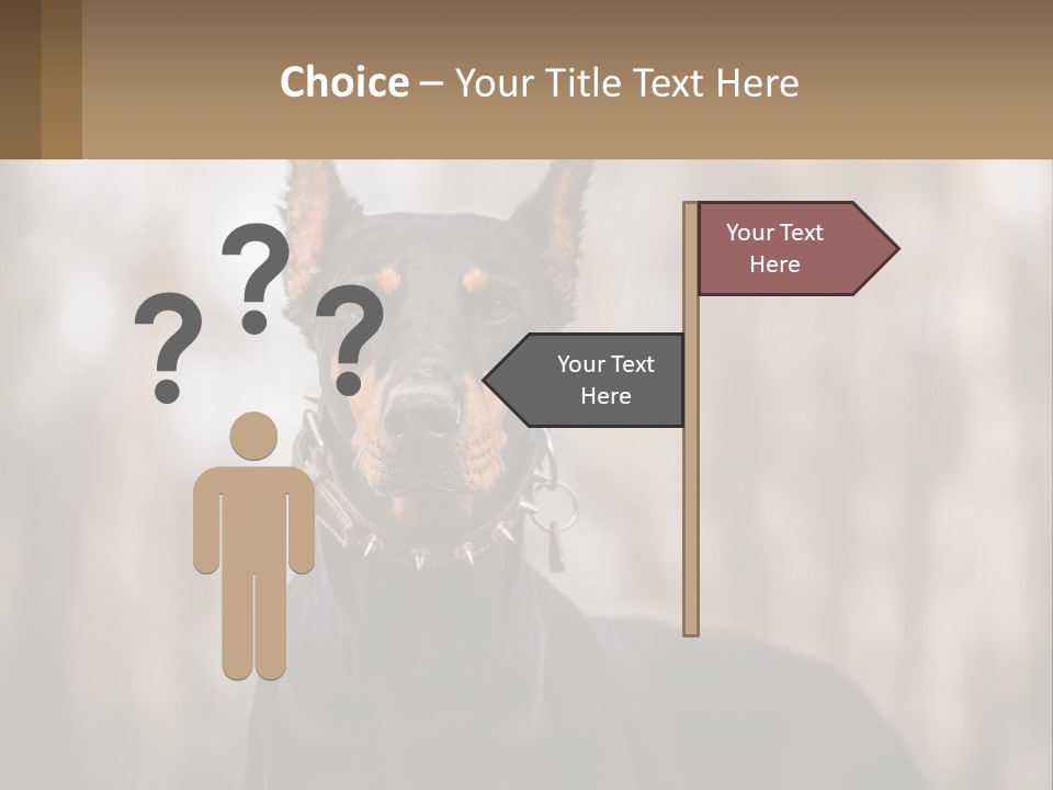 Sale Build Buy PowerPoint Template
