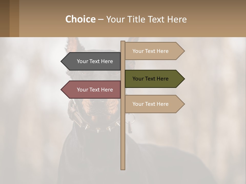 Sale Build Buy PowerPoint Template