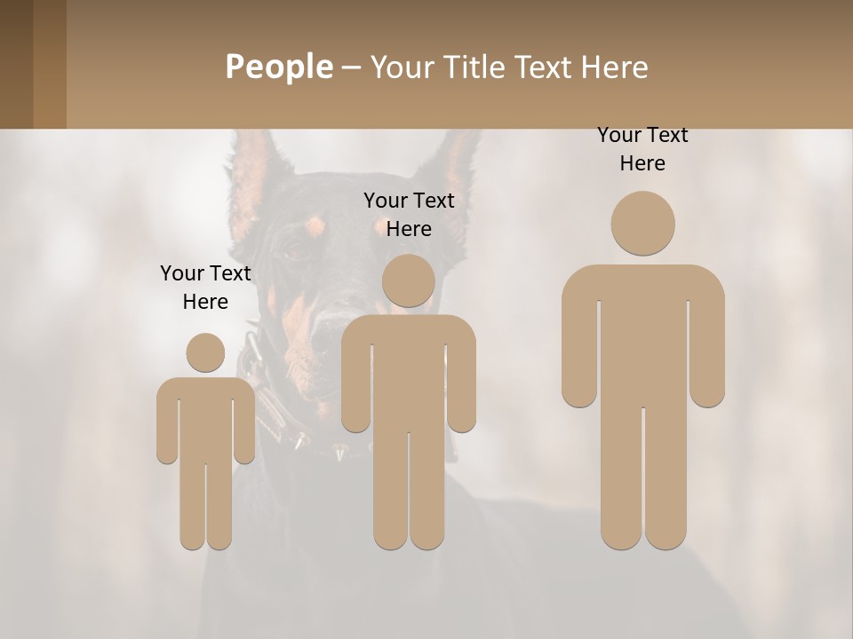 Sale Build Buy PowerPoint Template