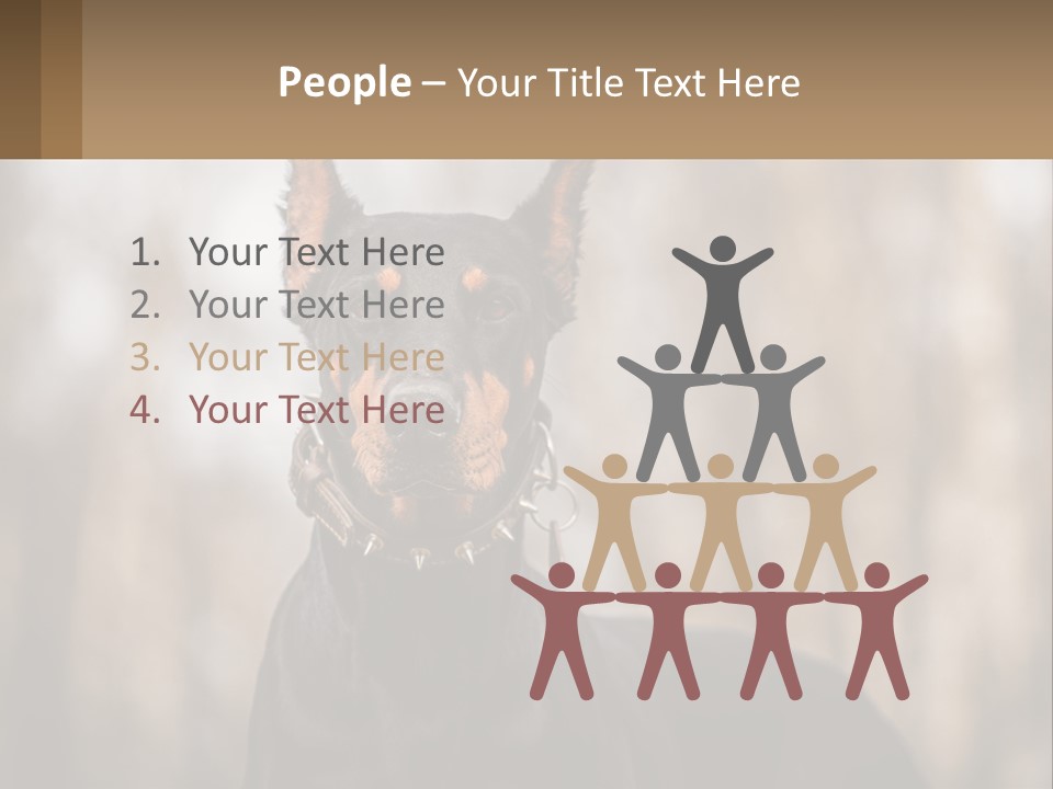 Sale Build Buy PowerPoint Template