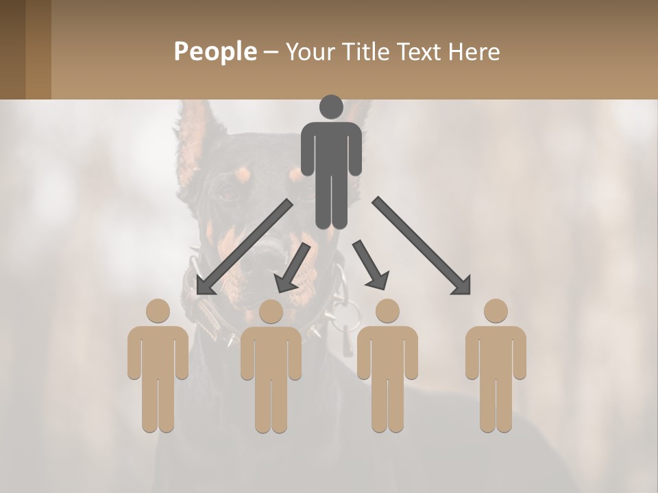 Sale Build Buy PowerPoint Template