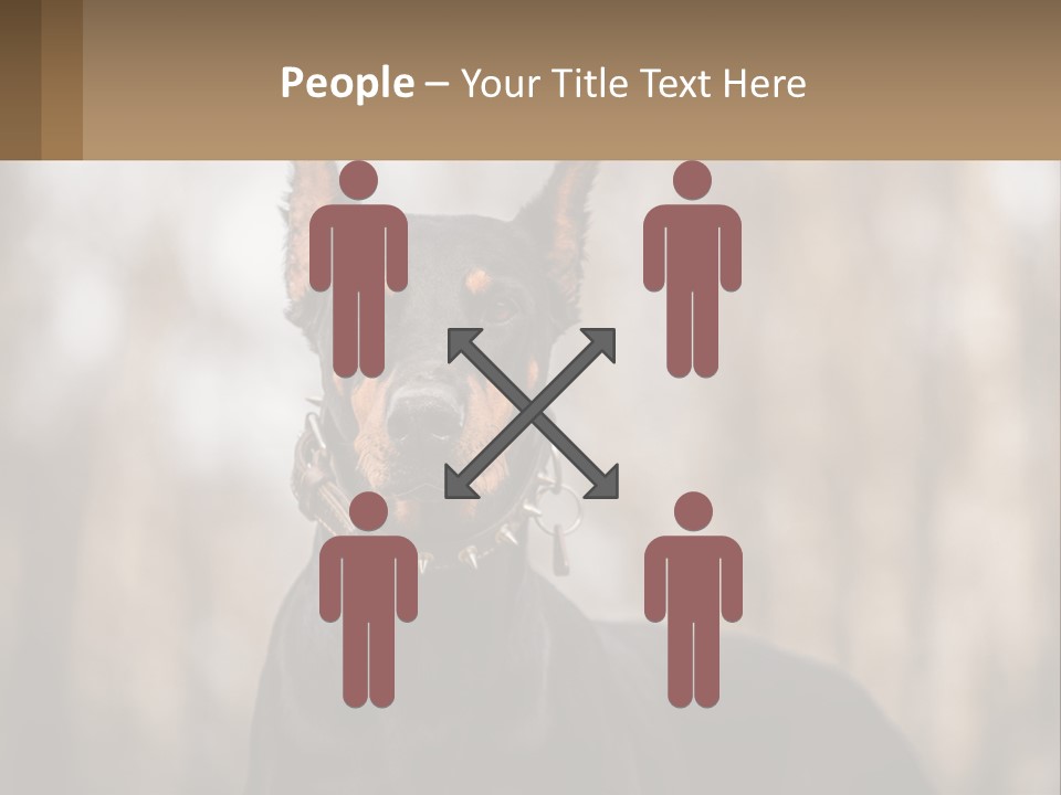 Sale Build Buy PowerPoint Template