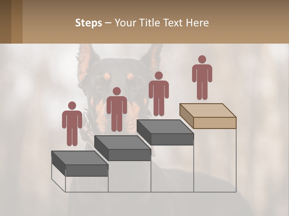 Sale Build Buy PowerPoint Template