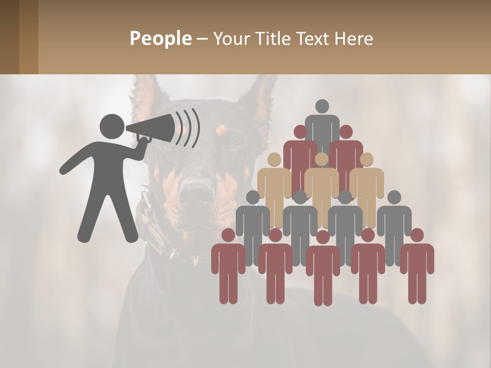 Sale Build Buy PowerPoint Template