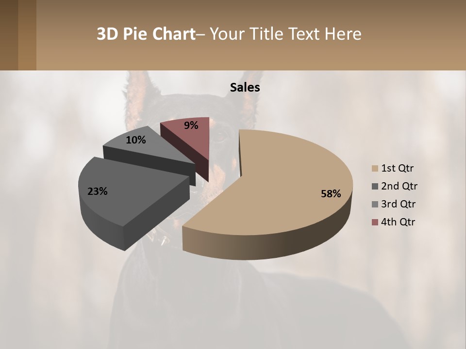 Sale Build Buy PowerPoint Template