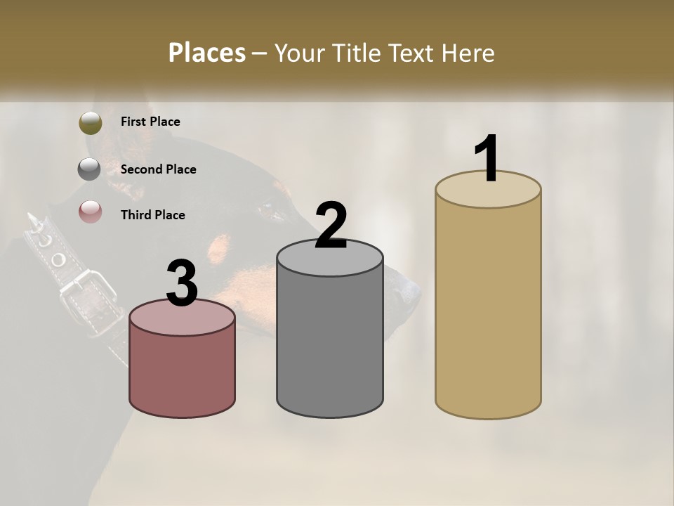 Architect Park Sale PowerPoint Template